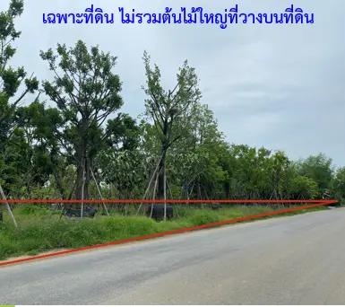 ที่ดินโฉนดเลขที่ 17336 เลขที่ดิน 35 ตำบลดอนปรู อำเภอศรีประจันต์ จังหวัดสุพรรณบุรี เนื้อที่ประมาณ 2 งาน 44 ตารางวา